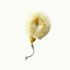 Hudson Made natural Sisal Body Brush with Rope Handle
