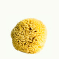 Hudson made all natural sea sponge for both the shower and bath.