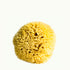 Hudson Made natural Sea Sponge for Showering and Bathing