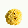Hudson made all natural sea sponge for both the shower and bath.